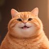 Orangecats vlog(收徒）