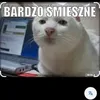 ktos_napewno2015
