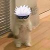 catboygojo.tt