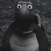 monkeys_weiner