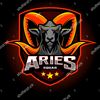 putra.aries61