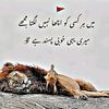 raiwaris56