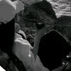 yara.ahmed1115