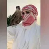 heba.alhamed