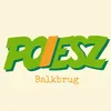 Poiesz Balkbrug