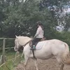 kora78868
