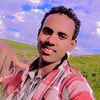 kadiir4980