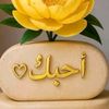 asd.zxc327