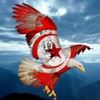 ahmed.massoudi288