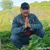 anil.dalami