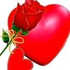 user8852615914087