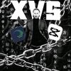 _1xvs_