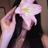 liljojoili