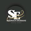 shedrack.enuebuke