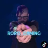 rorolegamaing