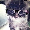 kathe_ai