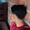 aallv._