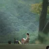 dalatvanhungdiemc