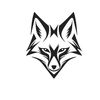 fox_academy5