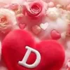denhicelapiz
