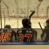 william.svensson37
