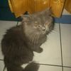 vermillionvermil8