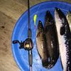 pemancing casting🎣