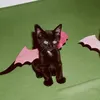 ryabinulyaa00