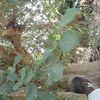 user81050994508264