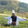 thu.anh6617