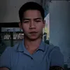 vui1178