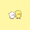 shuamykyeom24