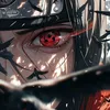 ksitachi8