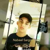 nabeel.ahmed9546