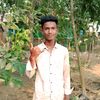 mdmamun.259
