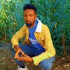 user4882790330207