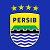 vikingcianjur6