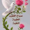 wasam.wasam872
