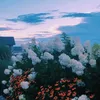 melisa_20132