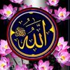 user8228824827699