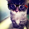 littlest.pet.shop47
