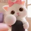 youkittyasmr