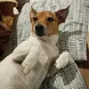 didupraytoday67