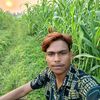 m.mehedi878