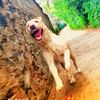 thiwanka.malith6