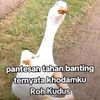 tokesawit156
