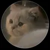 iw.ad.neee