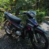 5tp_kedol2