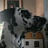 lord_hd16