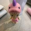 pikaa_acaa